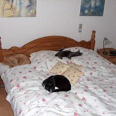 Blanding af racer Ejnar