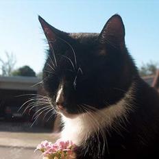 Blanding af racer Ejnar