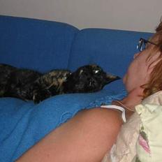 Blanding af racer Mille