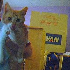 Blanding af racer Gonzo