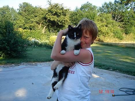 Blanding af racer Russi - Yeah så smidig jeg er :O billede 4