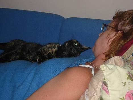 Blanding af racer Mille - Nu slaper du rigtig af var billede 3