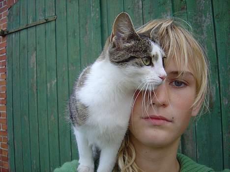 Huskat pjevs - mon det irriterer mette at jeg står her billede 2