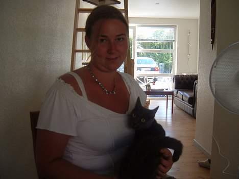 Blanding af racer Bella - her sidder jeg så hos min mor...forlader kun sjældent hendes side billede 4