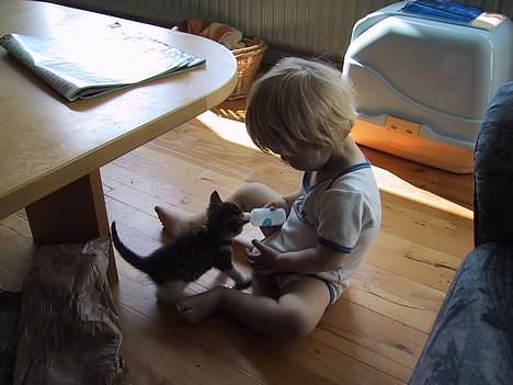 Huskat basse......død d.16aug 06 - heeeeey mad mad....hit med den unge dame :-) billede 5