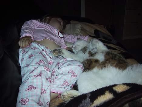 Huskat basse......død d.16aug 06 - åååå!!! der er altid en plads ved mors datter billede 20