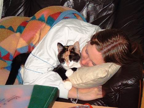 Blanding af racer Lillian † - Lillian og jeg der ligger og ser fjernsyn billede 9