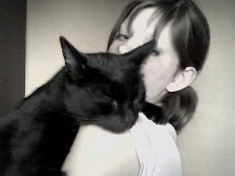 Blanding af racer Sorte *DØD* - ZzzZzzZ... Sover lige hos moar billede 11