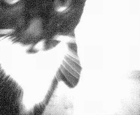 Blanding af racer Oliver  - Lige før han er ved at gå ind i det :D billede 5