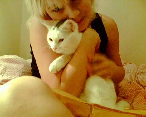 Blanding af racer Miss K - Miss K & mig<3 billede 4