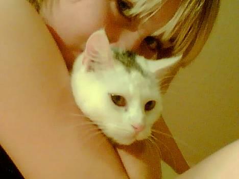 Blanding af racer Miss K - se oz lige... måske er hun lidt utilfreds, men det er jo heller ikke altid lige let at være fotomodel, vel?`? billede 5