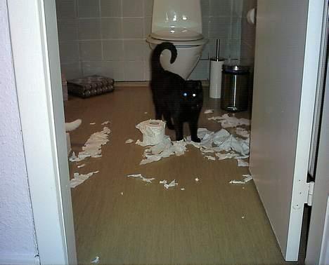 Huskat Mary - Aner ikke hvem der har gjort det. Det var i hvert fald ikke mig! billede 5