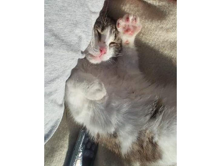 {{currentPhoto.altText}} billede {{currentPhoto.number}}