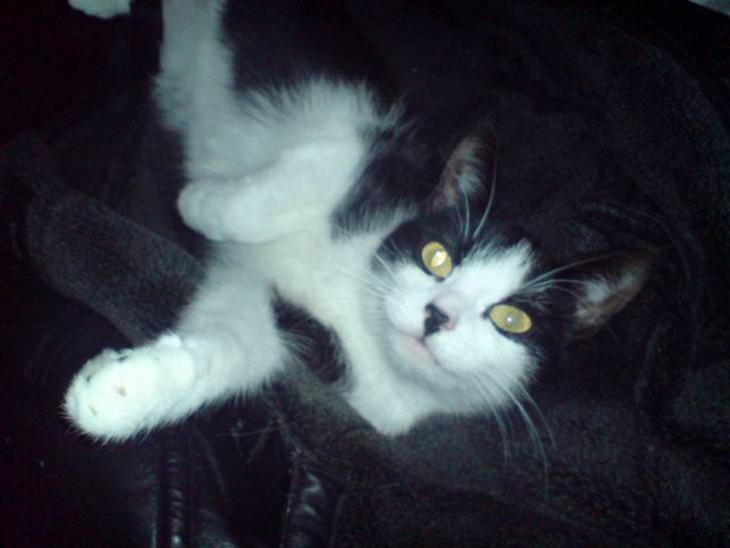 {{currentPhoto.altText}} billede {{currentPhoto.number}}