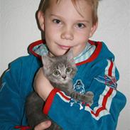 Blanding af racer Mivsen