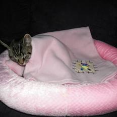 Blanding af racer Don Ø <3 R.I.P. :'(