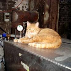 Huskat Zakie *R.I.P.*