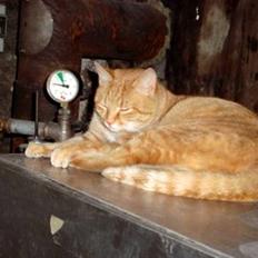 Huskat Zakie *R.I.P.*