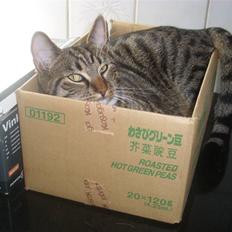 Blanding af racer Buller