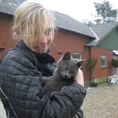 Blanding af racer kit