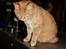 Huskat Zakie *R.I.P.*