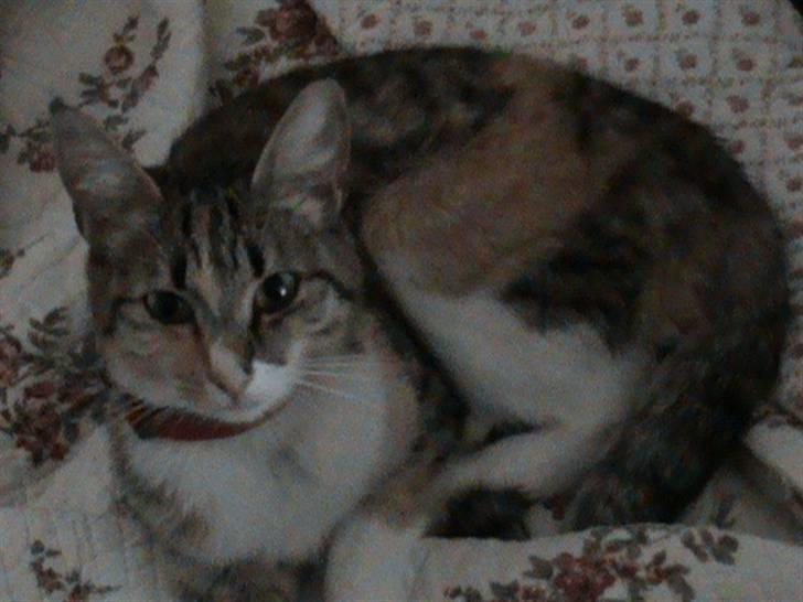 Huskat Noemi - Tog du lige et billede af mig?? billede 1