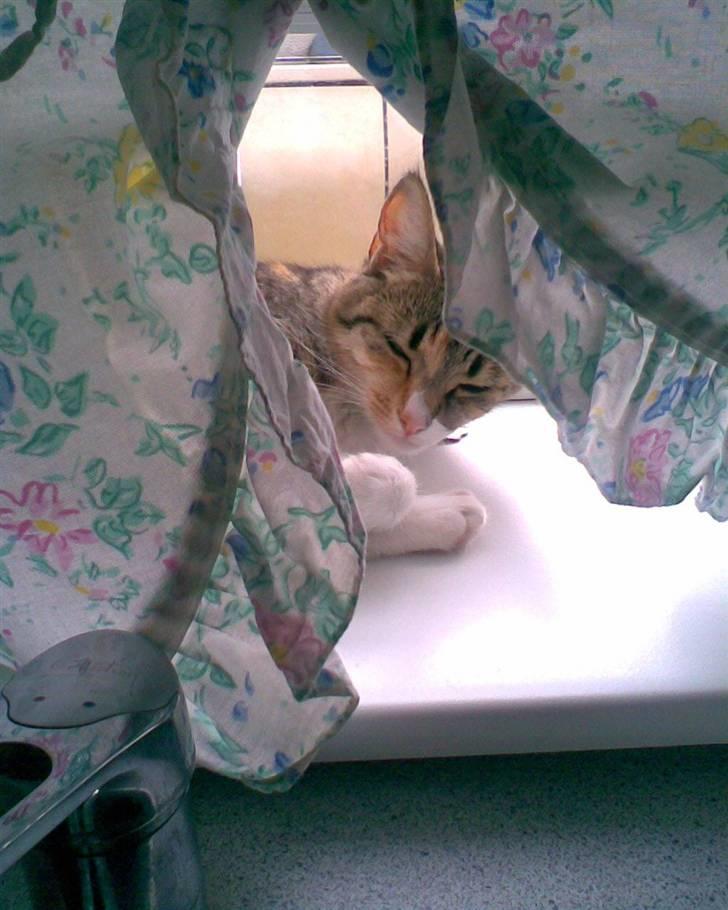 Huskat Noemi - Mor kan ikke se mig hehe, UPS!! billede 6