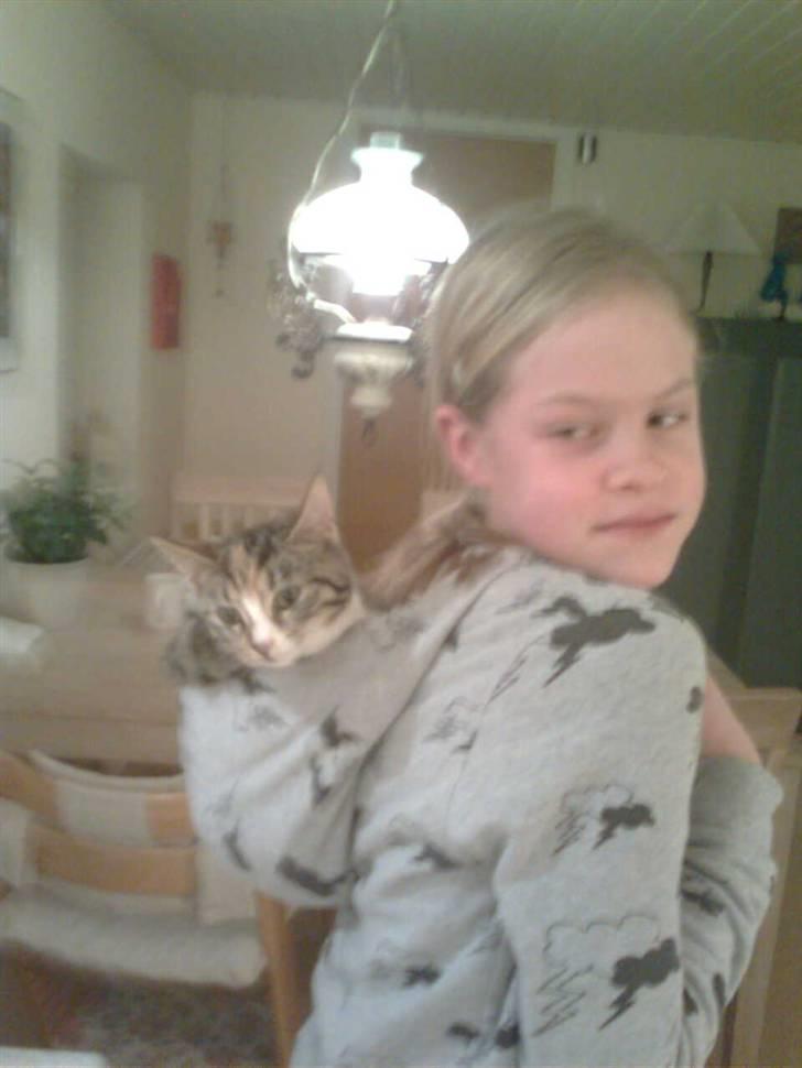 Huskat Viola<3 - Hun er et vær nea-barn hehehe billede 5