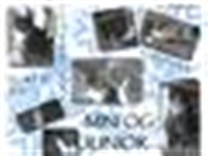 Blanding af racer Junior billede 17