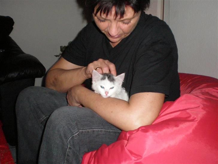 Huskat Diana - så kom mormor li forbi, dejligt men varme lår og en hånd der vil klø :) billede 6