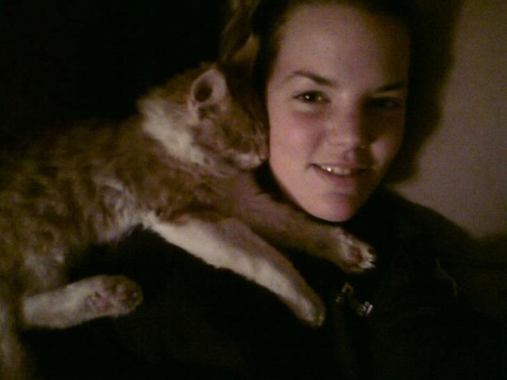 Maine Coon Lukas R.I.P ? :( - Ligger godt på skulderen af mor:) billede 10