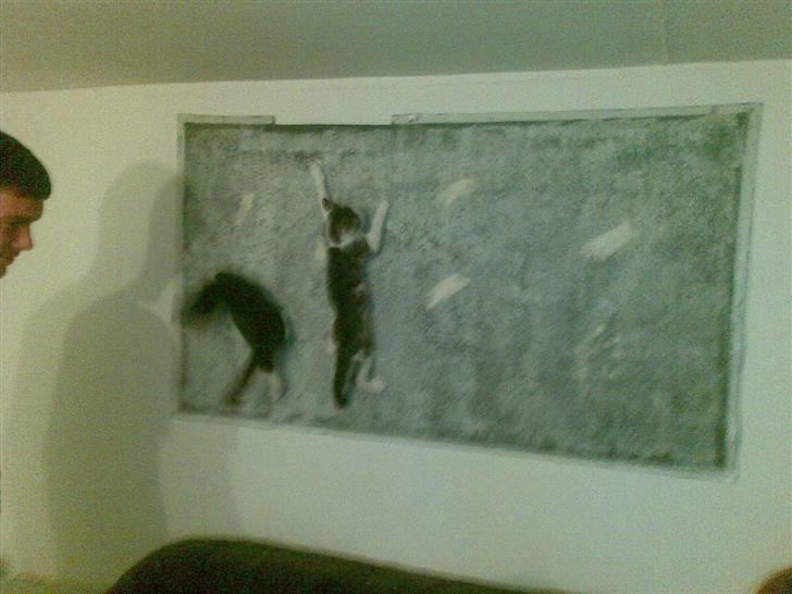 Blanding af racer Kaptajn billede 6