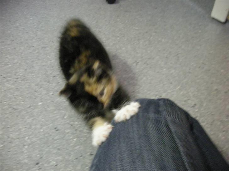 Huskat Ludine :) <33 solgt ! :'( - Åhh det er godt og strække sig! xD billede 8