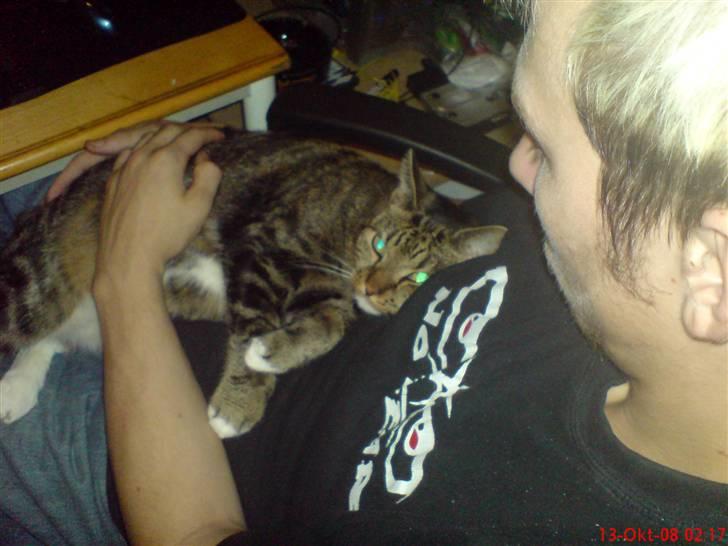 Huskat Helios R.I.P ! <3 billede 14