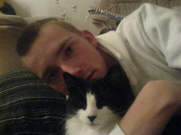 Norsk Skovkat Miss Tizzy - Tizzy og min k´æreste der ligger og hygger om aftenen;) (vil altid helst ligge hos ham hehe) billede 6