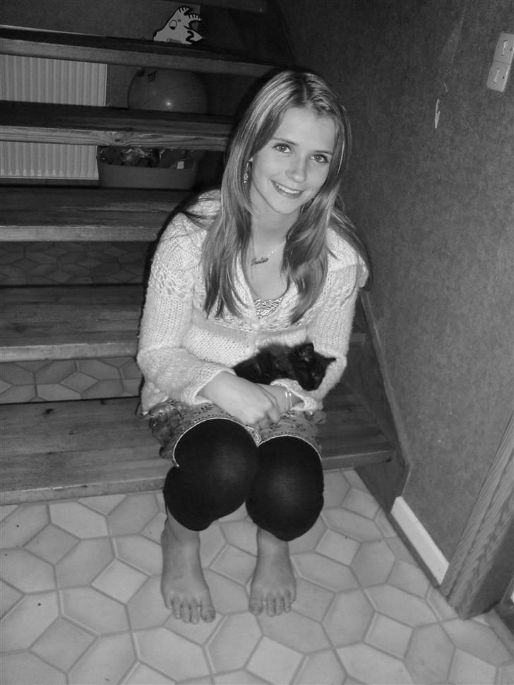 Blanding af racer Pjuske billede 3