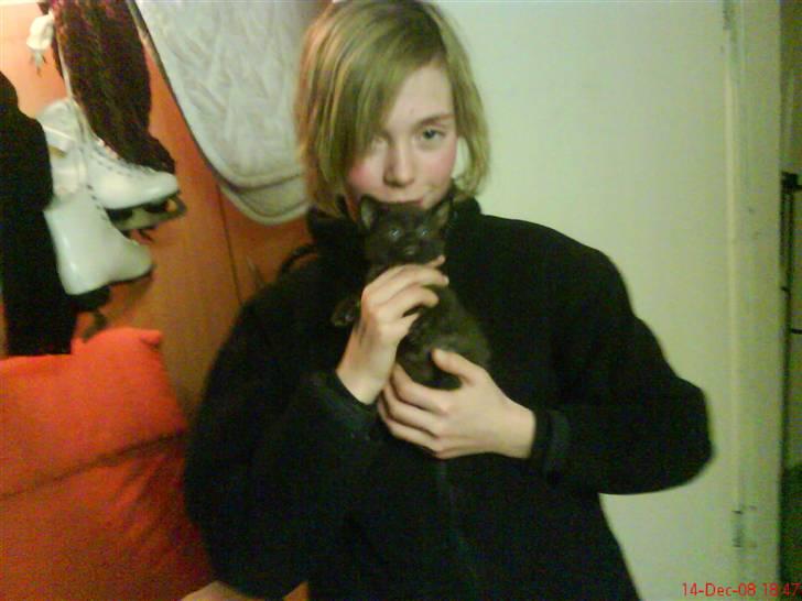 Huskat ferrai (venindes) - nuur?! de er søde var :)) billede 10