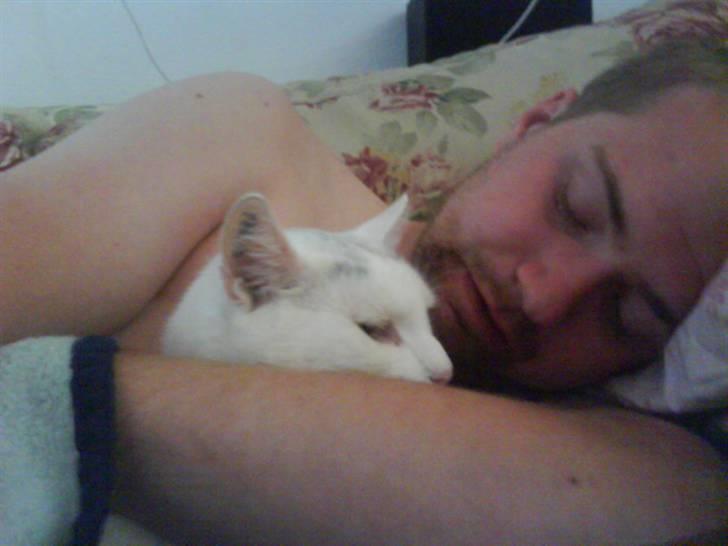 Blanding af racer Ingolf billede 15