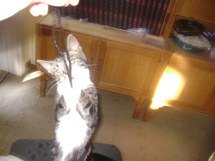 Huskat ingen i nu SOLGT billede 14