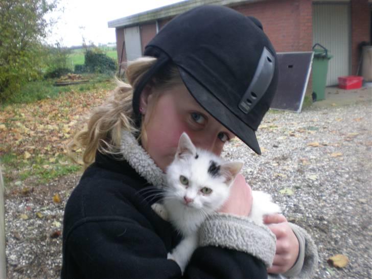 Blanding af racer plet billede 9