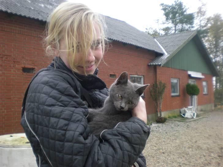 Blanding af racer kit billede 2