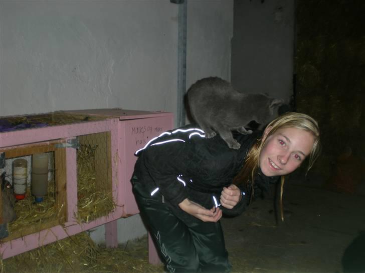 Blanding af racer kit billede 5