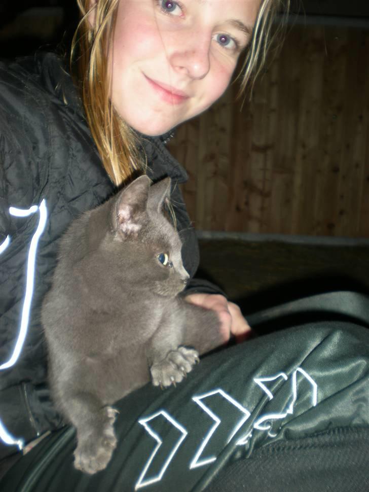 Blanding af racer kit billede 6