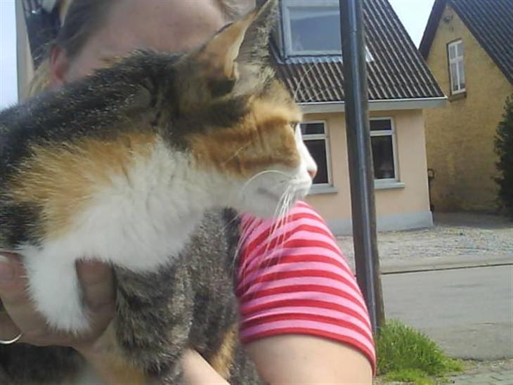 {{currentPhoto.altText}} billede {{currentPhoto.number}}