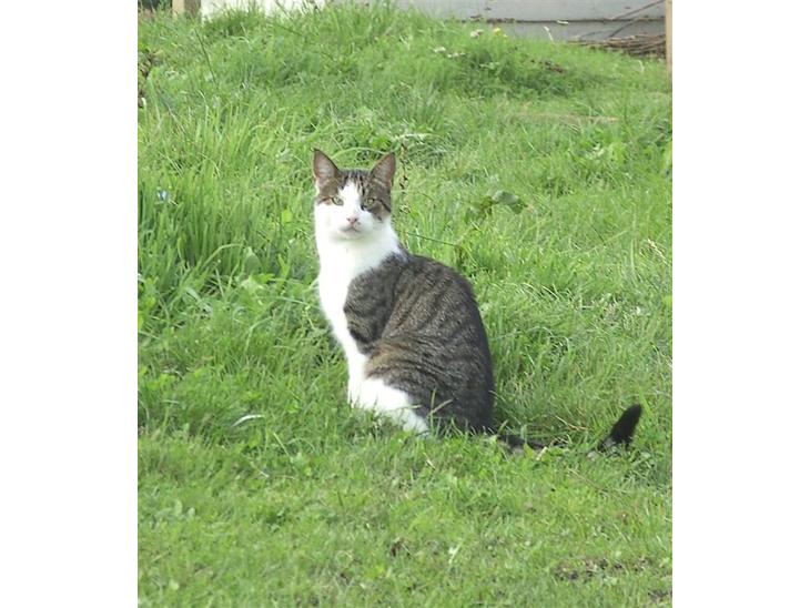 {{currentPhoto.altText}} billede {{currentPhoto.number}}