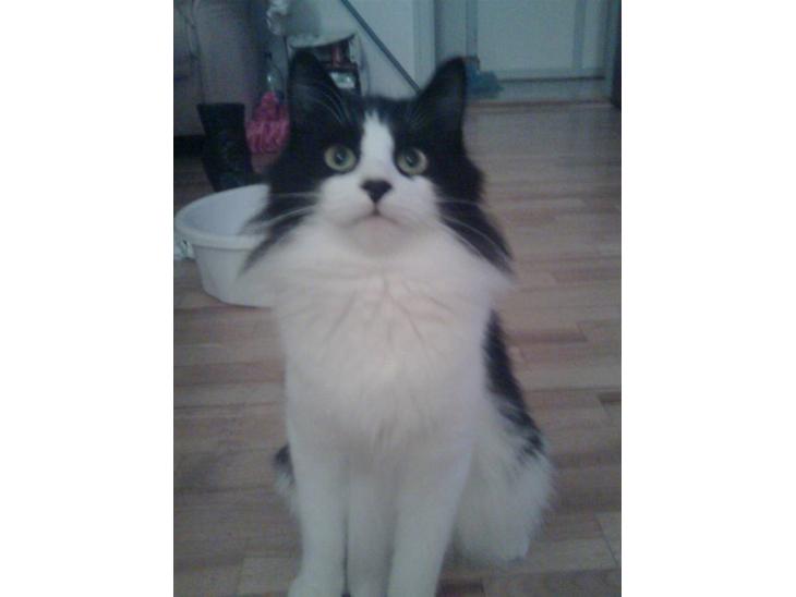 {{currentPhoto.altText}} billede {{currentPhoto.number}}