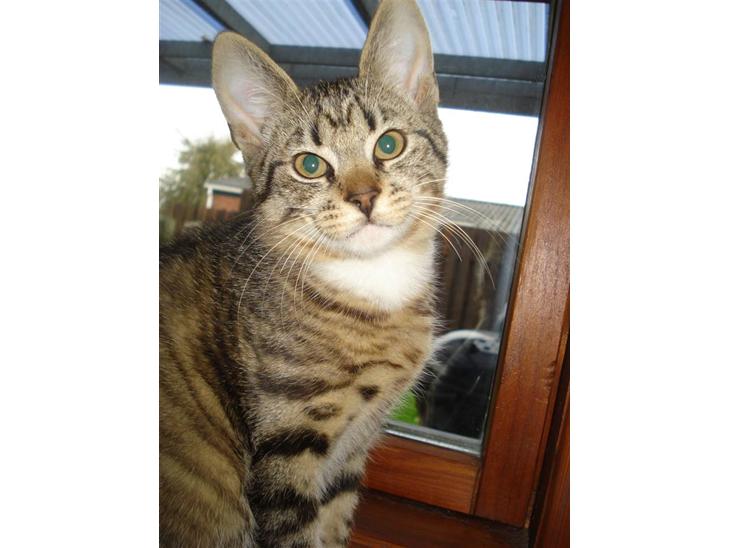 {{currentPhoto.altText}} billede {{currentPhoto.number}}