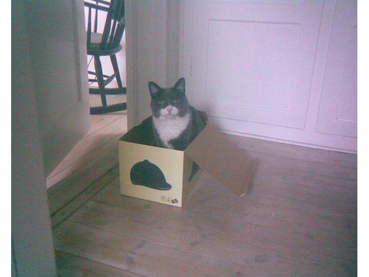 {{currentPhoto.altText}} billede {{currentPhoto.number}}