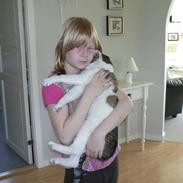 Huskat Tarzan      R.I.P :'(