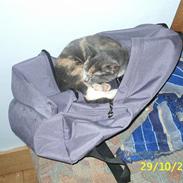 Blanding af racer R.I.P *Berta*